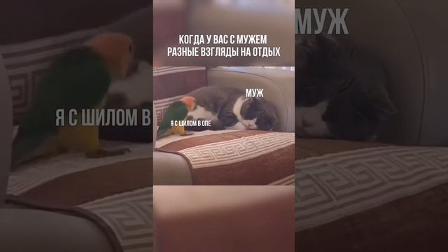 Когда у вас с мужем разные взгляды на отдых. ЮМОР ТВ ОК.