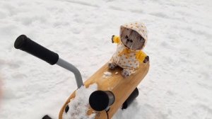Басик на прогулке!