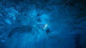 THE MOODY BLUES - BLUE WORLD. ИСТОРИЯ ДЕЛЬФИНА