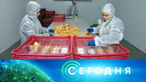 «Сегодня»: 14 сентября 2022 года. 13:00 | Выпуск новостей | Новости НТВ