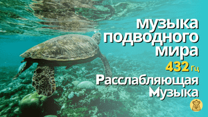 Музыка подводного мира. 432Гц. Расслабляющая музыка. Музыка для сна и йоги.