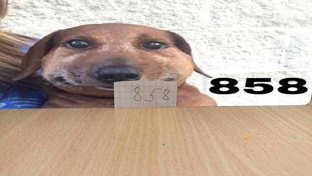 858
