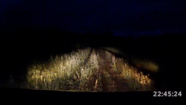 Вальдшнепы на дороге смотреть онлайн