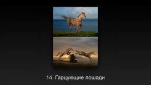 23 невероятно реалистичные скульптуры из дерева, от которых по коже бегут мурашки.