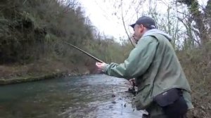 TROTA TORRENTE - GROSSE FARIO DI PRIMAVERA