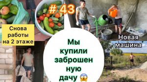 #43 МЫ купили ЗАБРОШЕННУЮ ДАЧУ/ По полу можно ходить