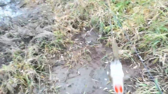 Рыбалка осень и срез огромной щуки( смотреть онлайн