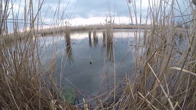 Рыбалка на карася на поплавочную удочку весной 2019 смотреть онлайн