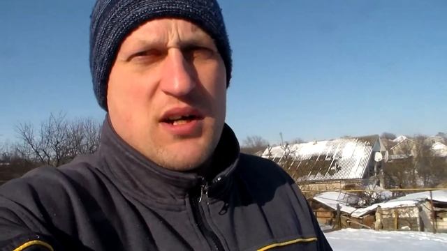 Стаффордшир и -30 На улице , как кормить собаку при морозе Бойцовая Собака