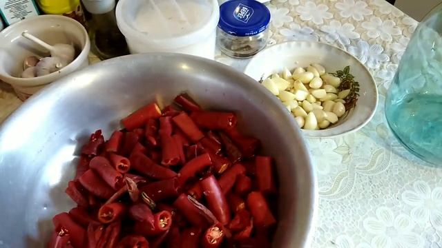 ферментирую острый перец начало 18.08.2022. #острыйперец #ферментация