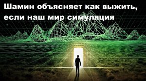 Шамин объясняет как выжить, если наш мир симуляция