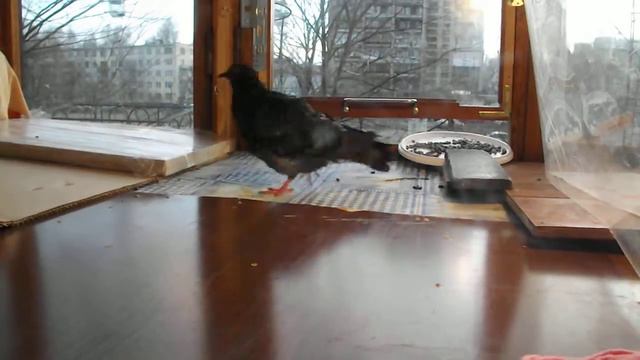 10 Вертится смотреть онлайн