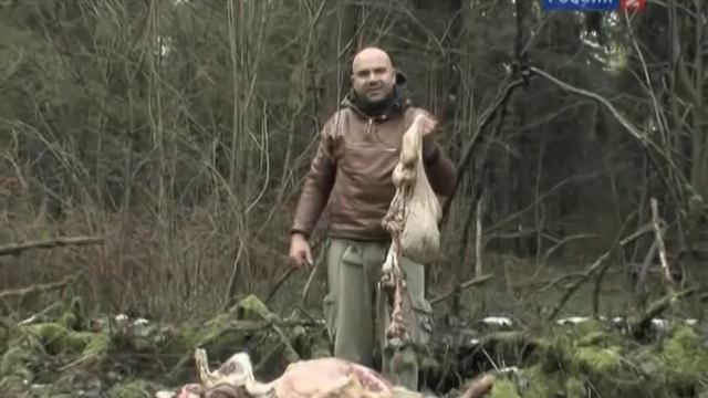 Рейтинг Баженова самые опасные животные России часть14