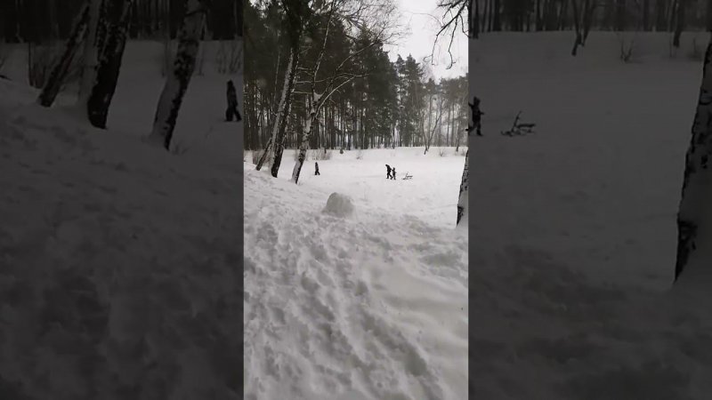 Зима. Стрелка.