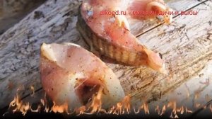 Рецепты из хариуса - как приготовить хариуса пошаговый рецепт - Слабосоленый хариус кусочками