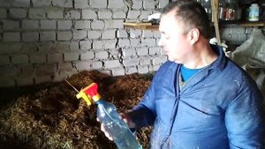 Как мы обеззараживаем грибной субстрат (As we disinfects mushroom substrate)