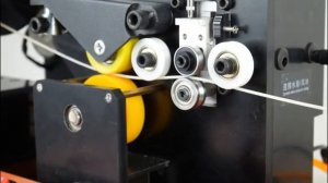 Комплект для экструзии ABS пластика Wellzoom line II 600 °С в работе.