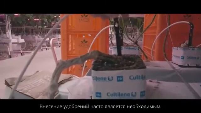Хорошая сельскохозяйственная практика (GAP) в растениеводстве