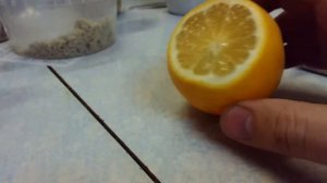 Как определить спелый лимон