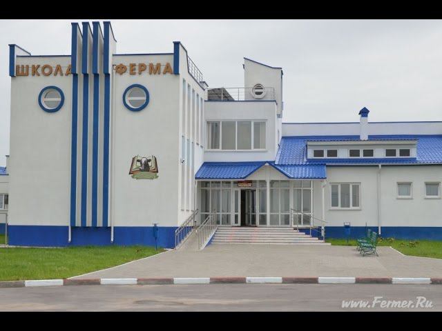 мтк молочно-товарный комплекс. бгсха горки. Ferme-la гифка. молочная ферма бабино. учебное хозяйство.