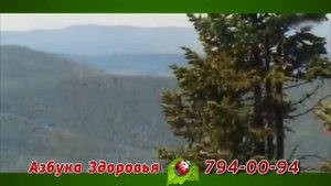 Пихтовый экстракт