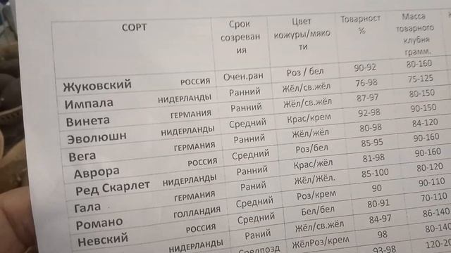 Семенной картофель. Выбираем картофель на посадку. Мой опыт.