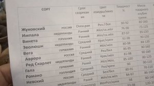 Семенной картофель. Выбираем картофель на посадку. Мой опыт.