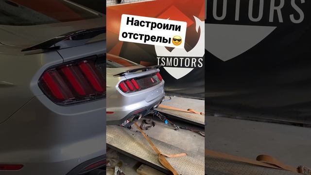 Настроили отстрелы ?FORD MUSTANG GT ROUSH PERFORMANCE