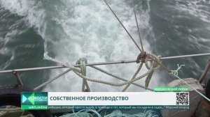 Морской гребешок и устриц выращивают на Сахалине