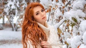 Красная рябина