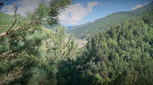 Лето в горах с моей собакой