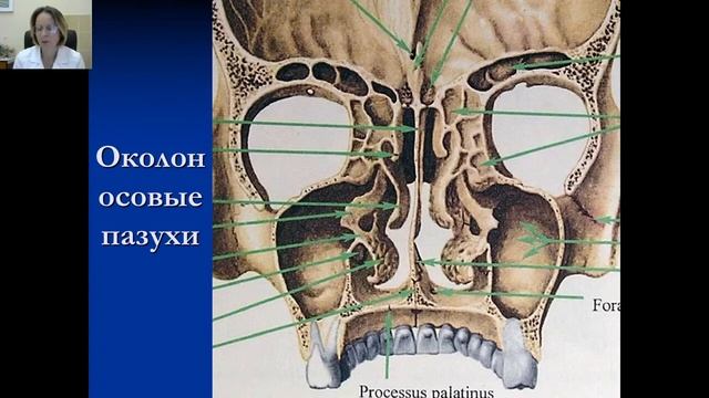 Оториноларингология №3 