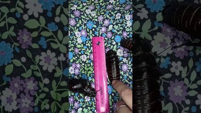 У кого больше! Линейка в помощь! Меряю производителей мадагаскарских тараканов. смотреть онлайн