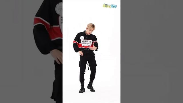 Stray Kids 스트레이 키즈 Back Door Changbin 창빈 Dance Mirrored
