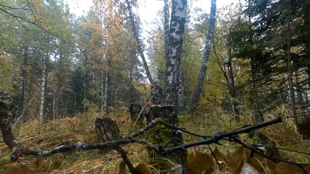 Хатсан Страйкер Эйдж, hatsan striker edge пробив