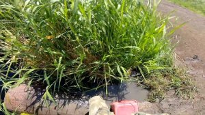 Рыбалка на паук с видеокамерой ЁКЛМН Сазаны ловятся Рыбалка на паук подъемник Рыбалка на сазана 202