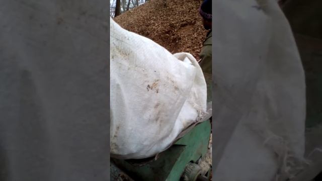 Кедровый орех смотреть онлайн