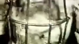 Deep Web Videos Volume 2