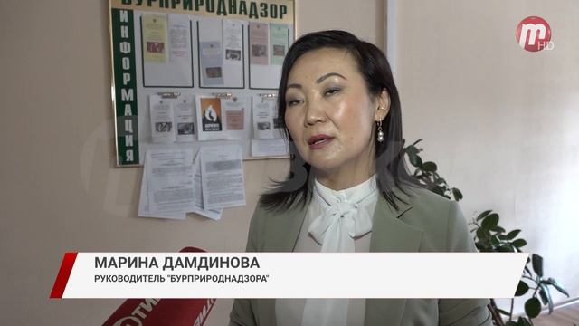 Бурприроднадзор бурятия сайт. Руководитель Бурприроднадзора Республики Бурятия.