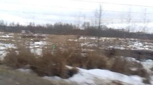 28.01.23 Автобусный маршрут 331 борт. 6529 в Санкт-Петербурге(г. Колпино).