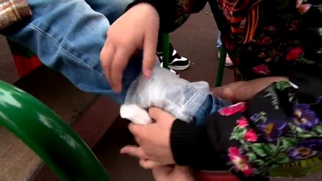 зарница в детском саду №163 смотреть онлайн