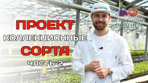 Проект "Коллекционные сорта" | часть-2 #семена #огород #томаты