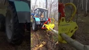 захват Горыныч МТЗ