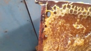 Стимуляция пчелосемей  рамками с медом, для быстрого наращивания силы.