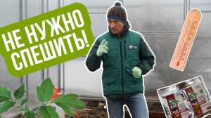 Сроки посадки рассады в грунт. Когда сажать в теплицу и открытый грунт