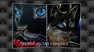 Чёрно - белая ГРАФИКА*