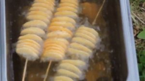 Профессиональные фритюрницы