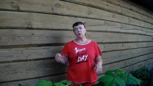 Вьющиеся растения на стене! Если очень хочется, то можно!