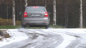 Skoda Octavia на шинах Cordiant Polar 2 против собак