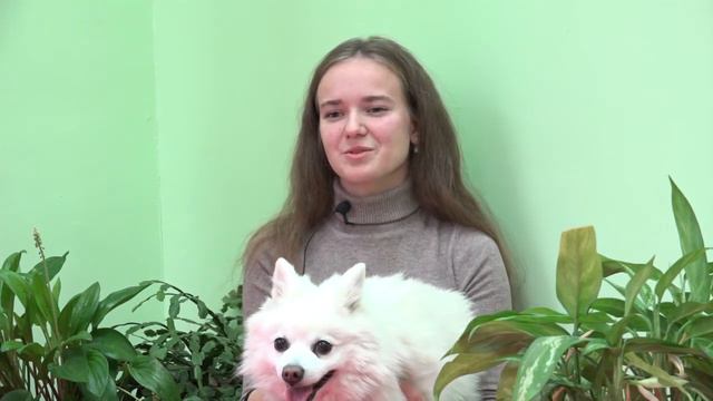 Клуб юных собаководов ДДЮТ - АДЖИЛИТИ смотреть онлайн